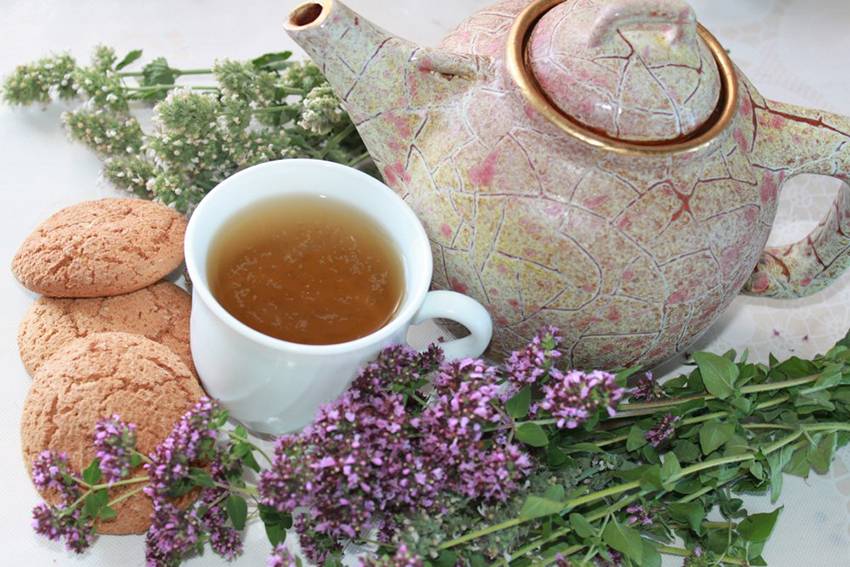Чай с шалфеем: польза и вред, противопоказания и передозировка, как безопасно заваривать