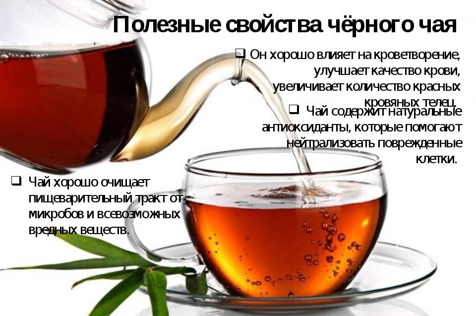 Чай с бергамотом: полезные свойства и возможный вред | польза и вред