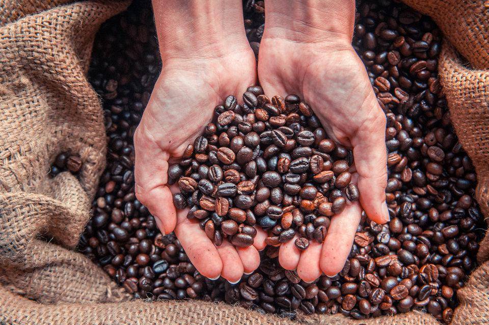 Кофе никарагуа: сорта, описание, стоимость, отзывы