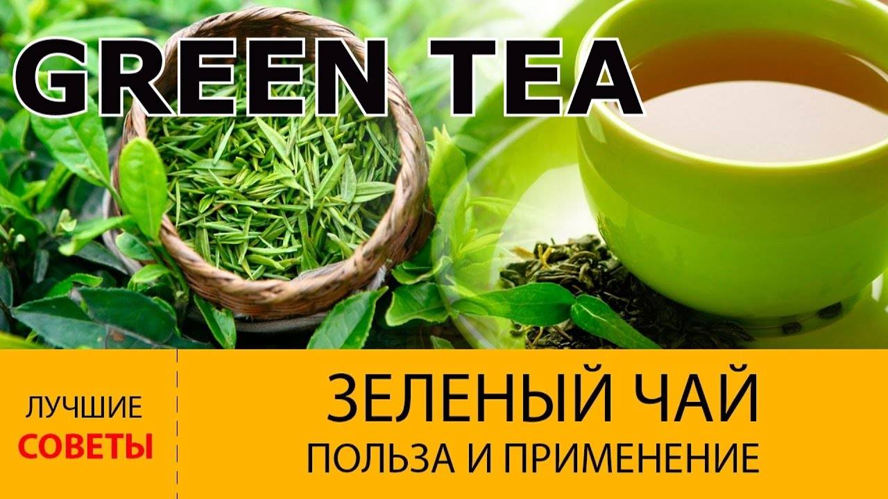 Зеленый чай, польза и вред для организма человека