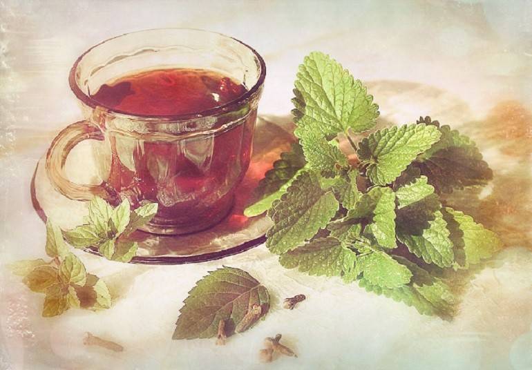 Чай из мяты польза и вред для мужчин, рекомендации специалистов