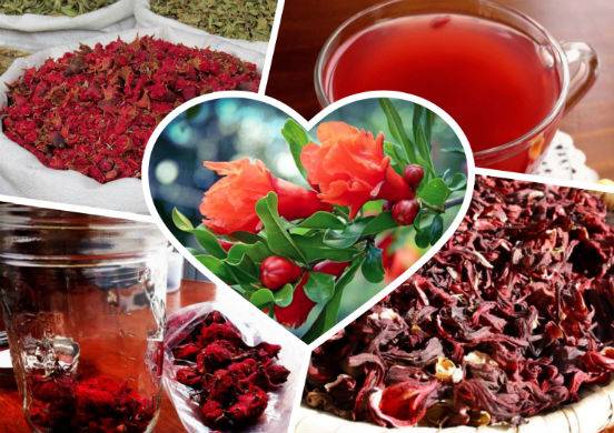 Гранатовый чай: польза и вред, рецепты из сока, корок граната и цветков