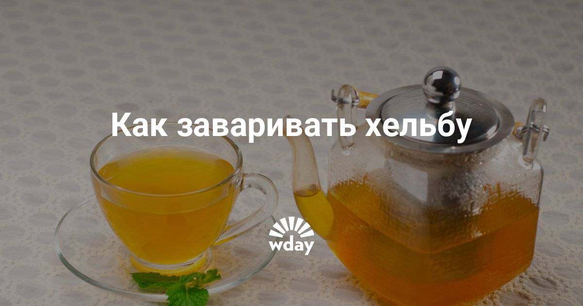 Чай хельба (с пажитником) полезные свойства | spicesguide.ru