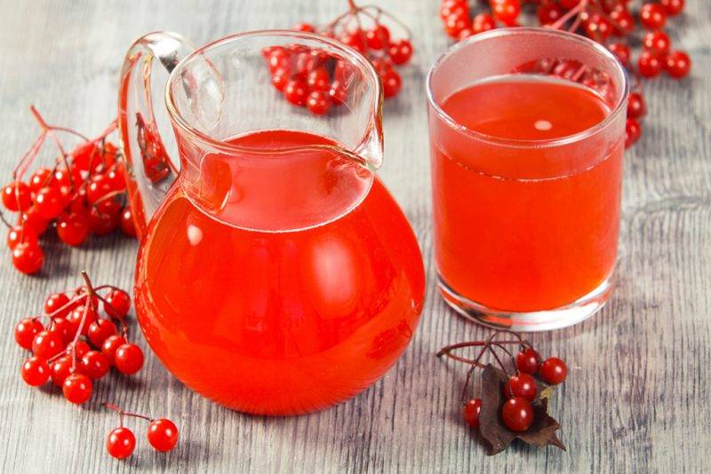 Чай с калиной: польза и вред, как заваривать от простуды
