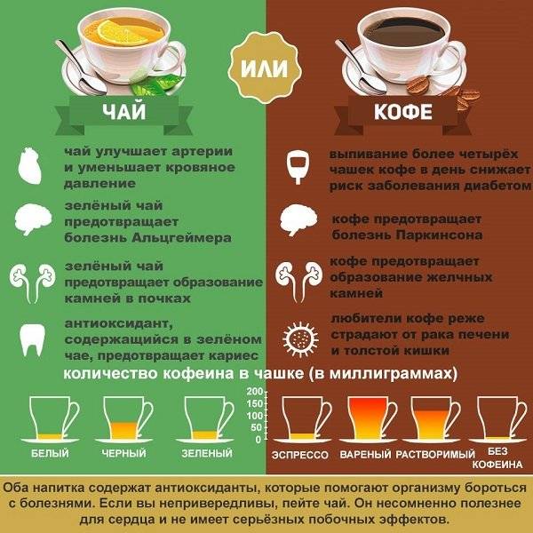 Кофеин в чае и кофе: где больше содержится, есть ли и в каком количестве, сколько в одной чашке и сравнительная таблица с содержанием