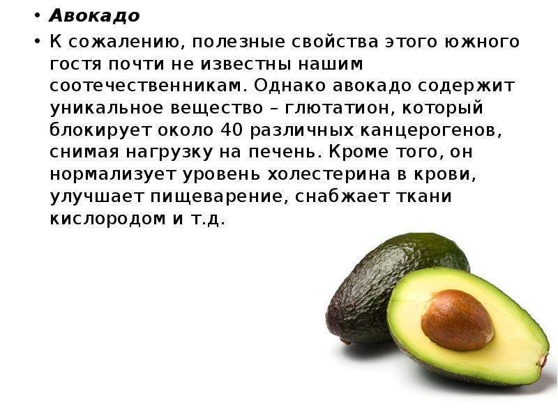 Польза авокадо