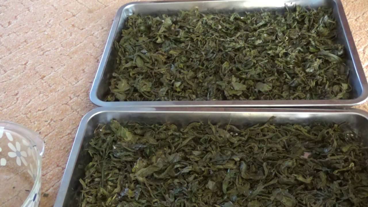 Ферментированный чай из дачных трав - напитки