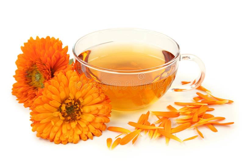 Чай из календулы: полезные свойства и вред, как заваривать