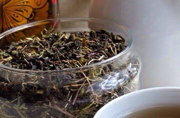 Чай с чабрецом: целебные свойства и вред для мужчин и женщин