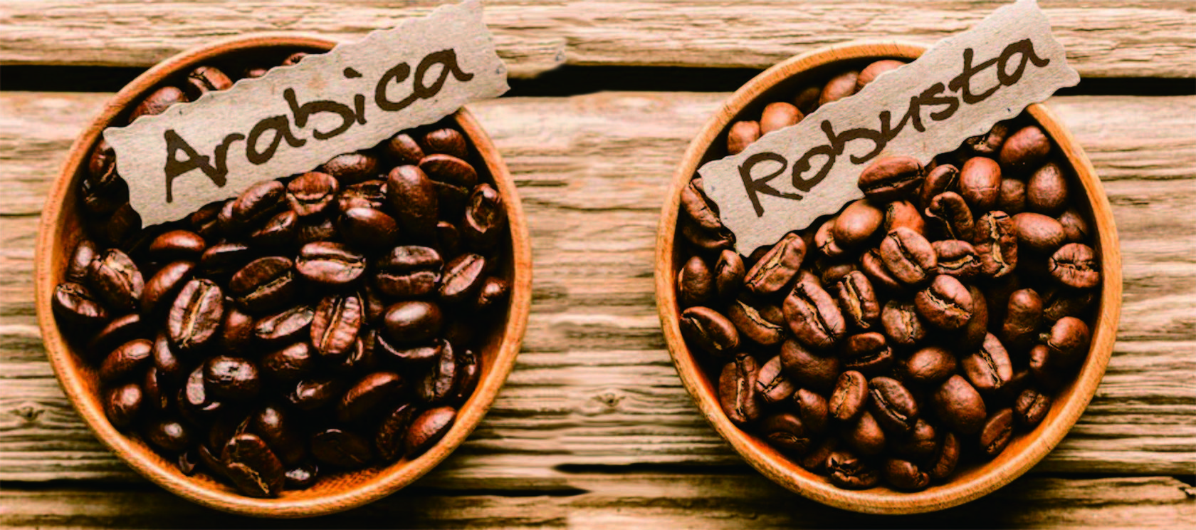 Арабика vs робуста: что нужно знать о самых популярных сортах кофе /  на сайте росконтроль.рф
