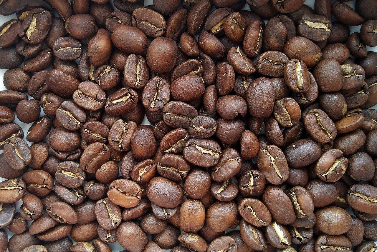Перуанский кофе. история индустрии, география выращивания, сорта