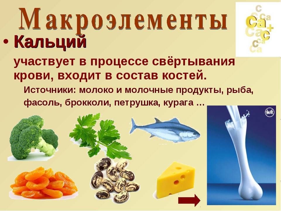 Кальций в продуктах: таблица, кальций в организме | food and health