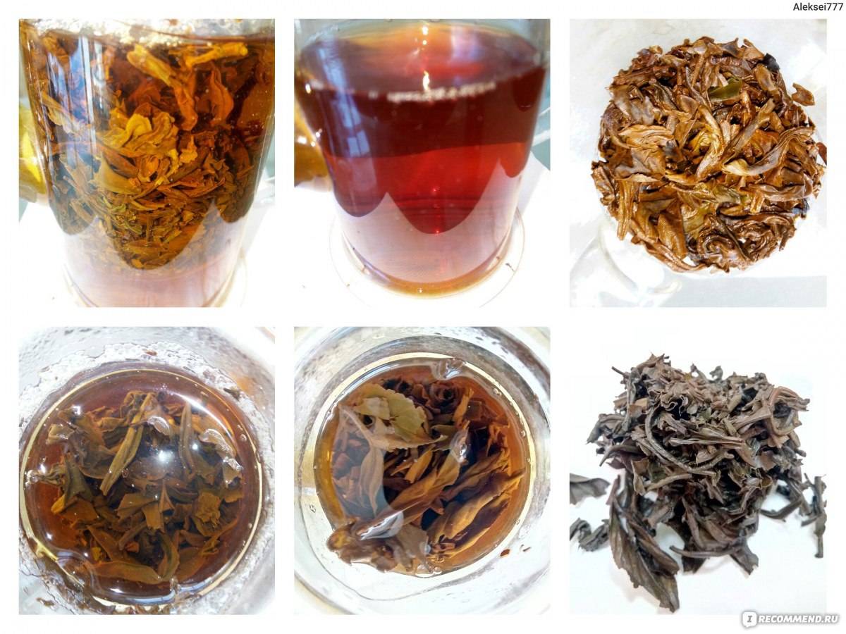Синий чай: полезные свойства, как правильно заваривать