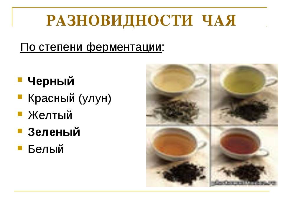 Основные виды чая: классификация и свойства