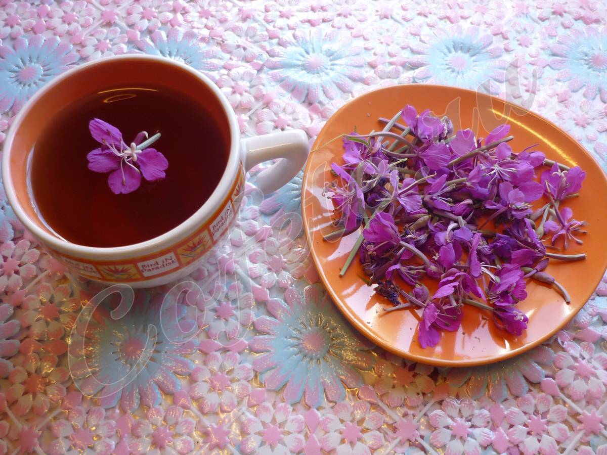 Вкусные и полезные рецепты приготовления иван-чая своими руками