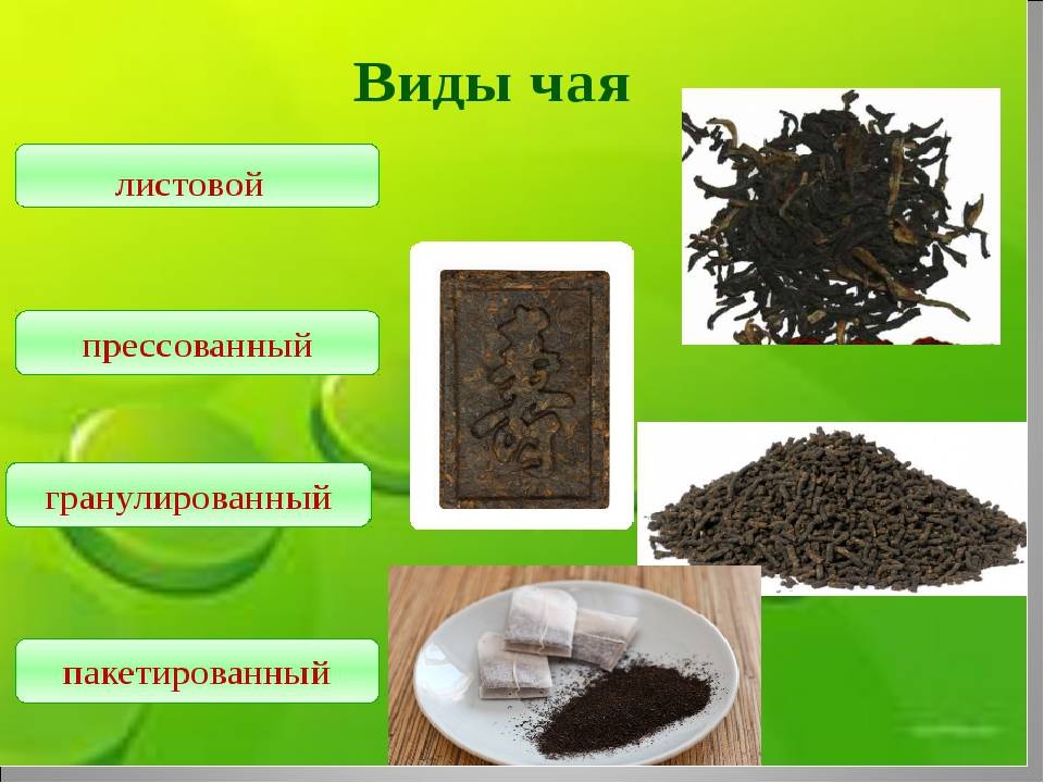 Листовой и гранулированный чай: как их делают, какой из них лучше