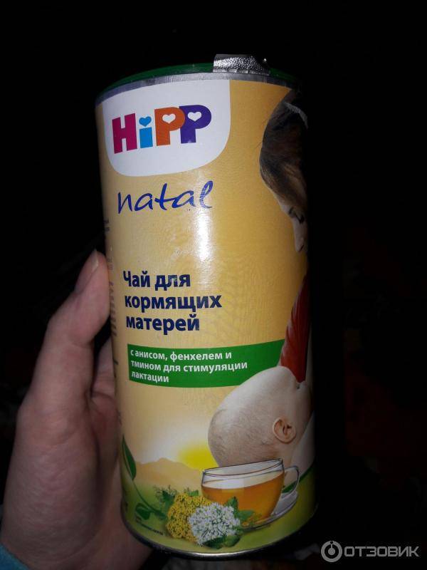 Чай хипп для лактации: зачем и когда его используют?