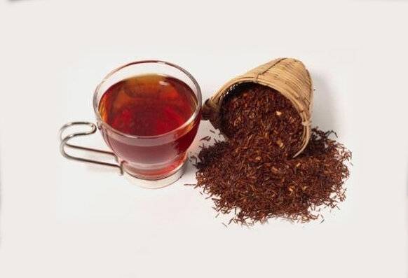 Чай ройбуш - польза и вред, разновидности, описание, применение для похудения и как правильно заварить