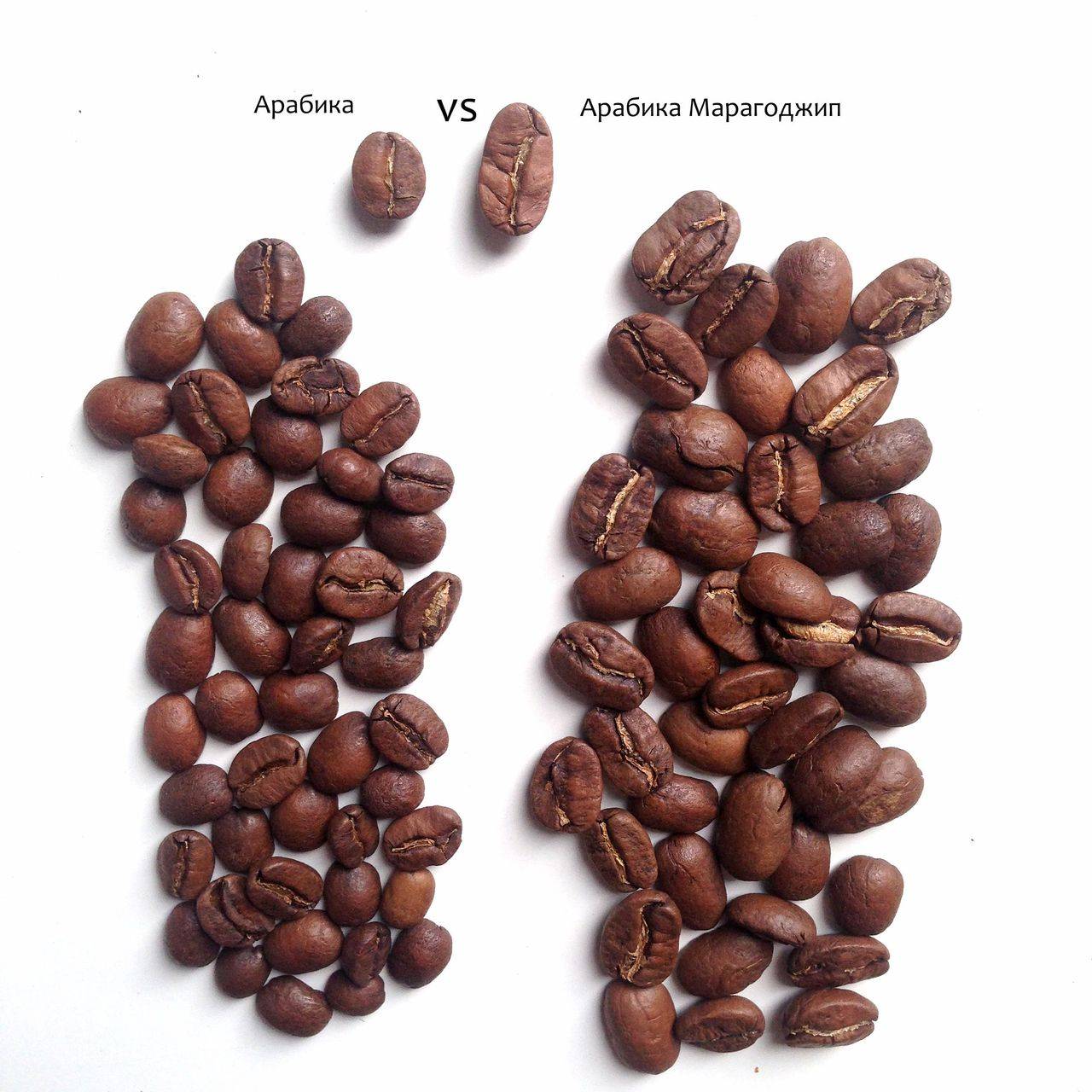 ☕лучшие бренды зернового кофе 2021. пользовательские отзывы, а также профессиональные рейтинги.