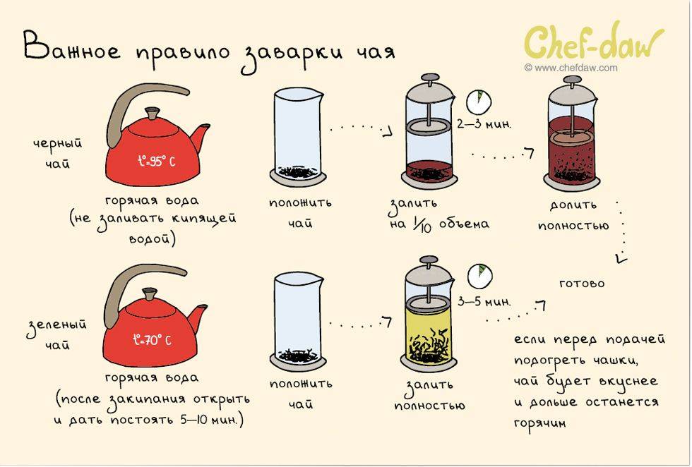 Грузинский чай: лучшие сорта и достоинства напитка