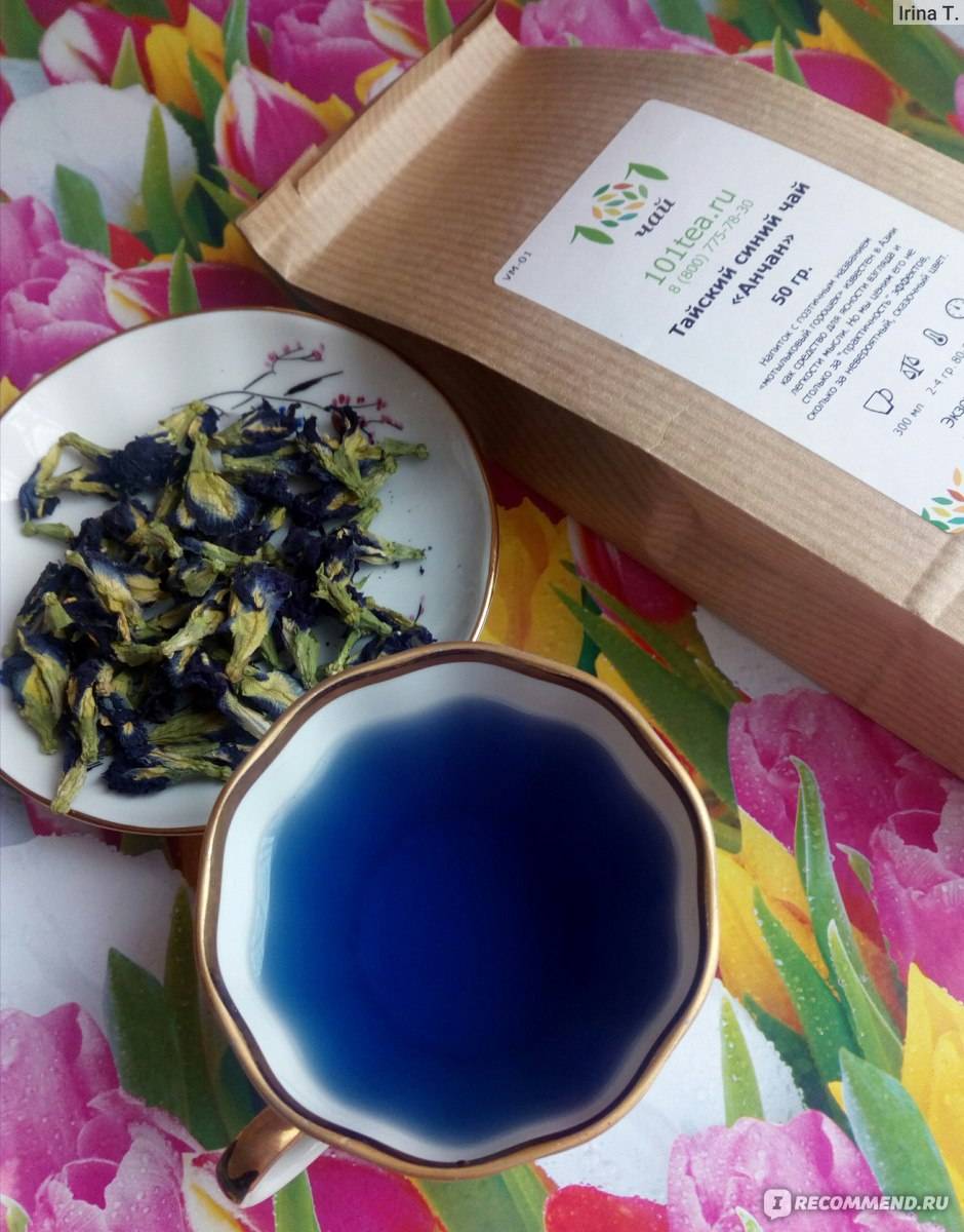 Синий чай: полезные свойства, противопоказания, польза, фото