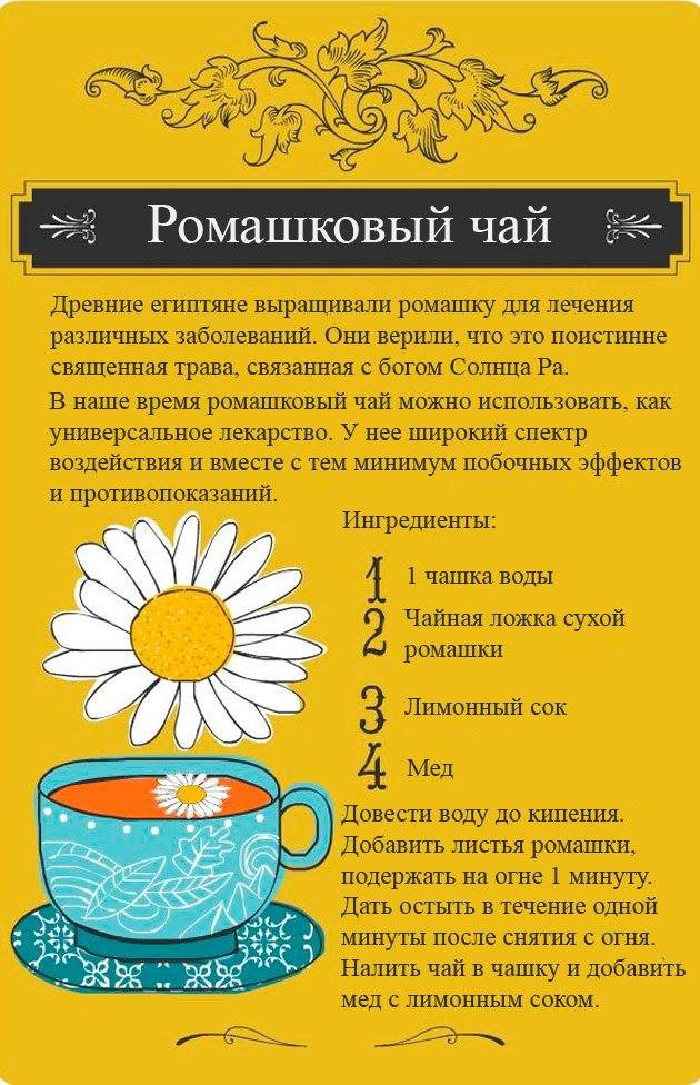 Ромашковый чай - польза и вред для женщин, воздействие на организм, противопоказания