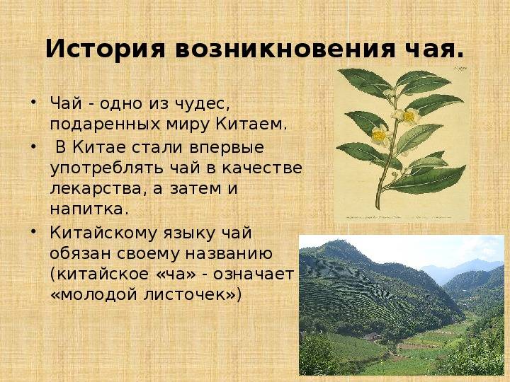 Черный чай