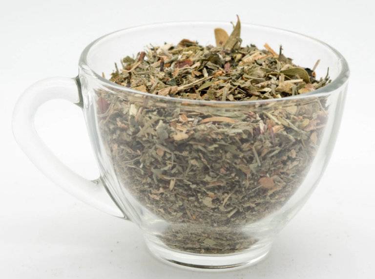 Почечный чай: полезные свойства и противопоказания к приему напитка
