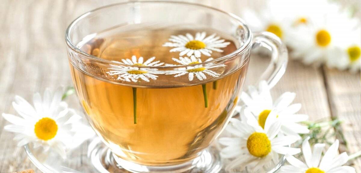 Ромашковый чай польза и вред лечебные свойства, применение