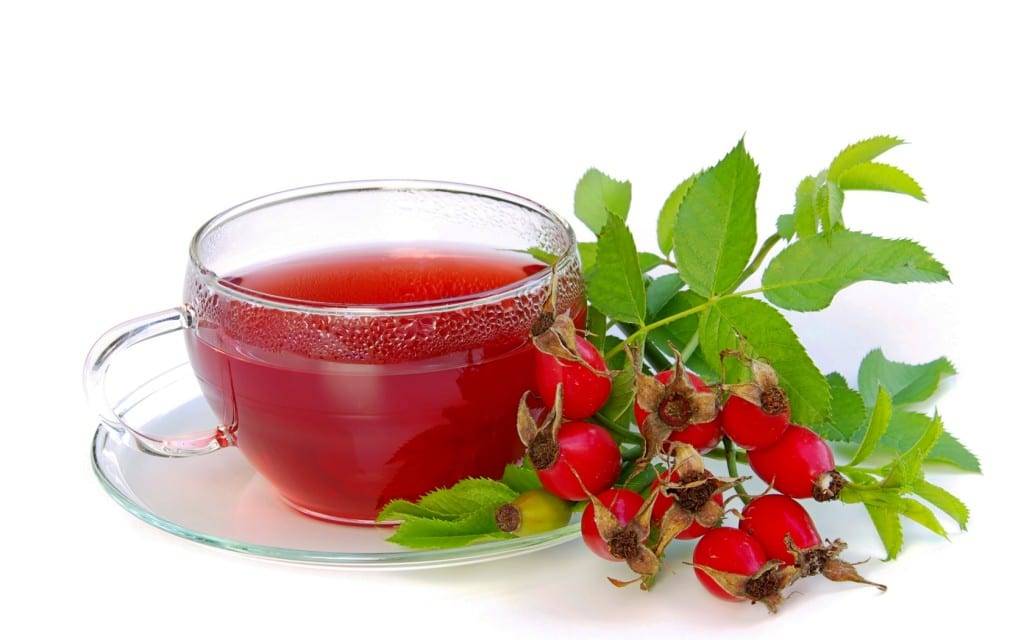 Шиповник - полезные свойства и противопоказания для мужчин или женщин, рецепты лечебного отвара и чая