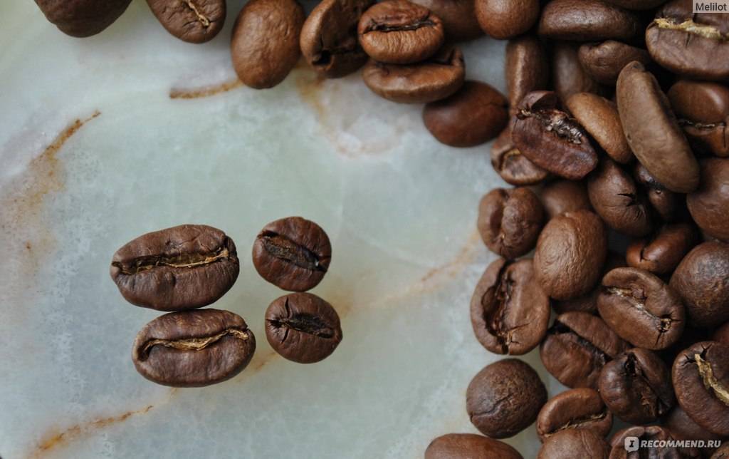 Сорта зернового кофе
