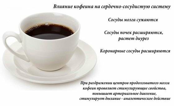 Кофеин пульс. Кофе сужает сосуды. Артериальное давление кофеин. Кофе расширяет сосуды. Кофе повышает или понижает давление.