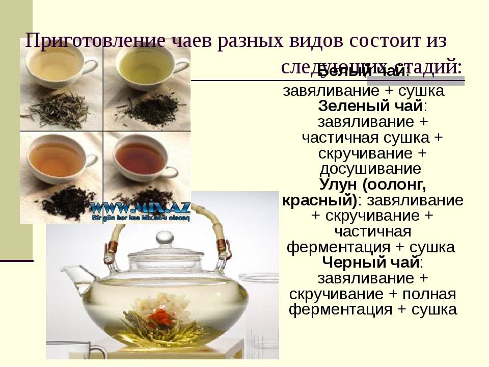 Описание растений для чая (фото)