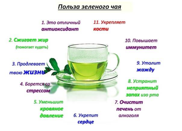 Диета на зеленом чае по дням и отзывы