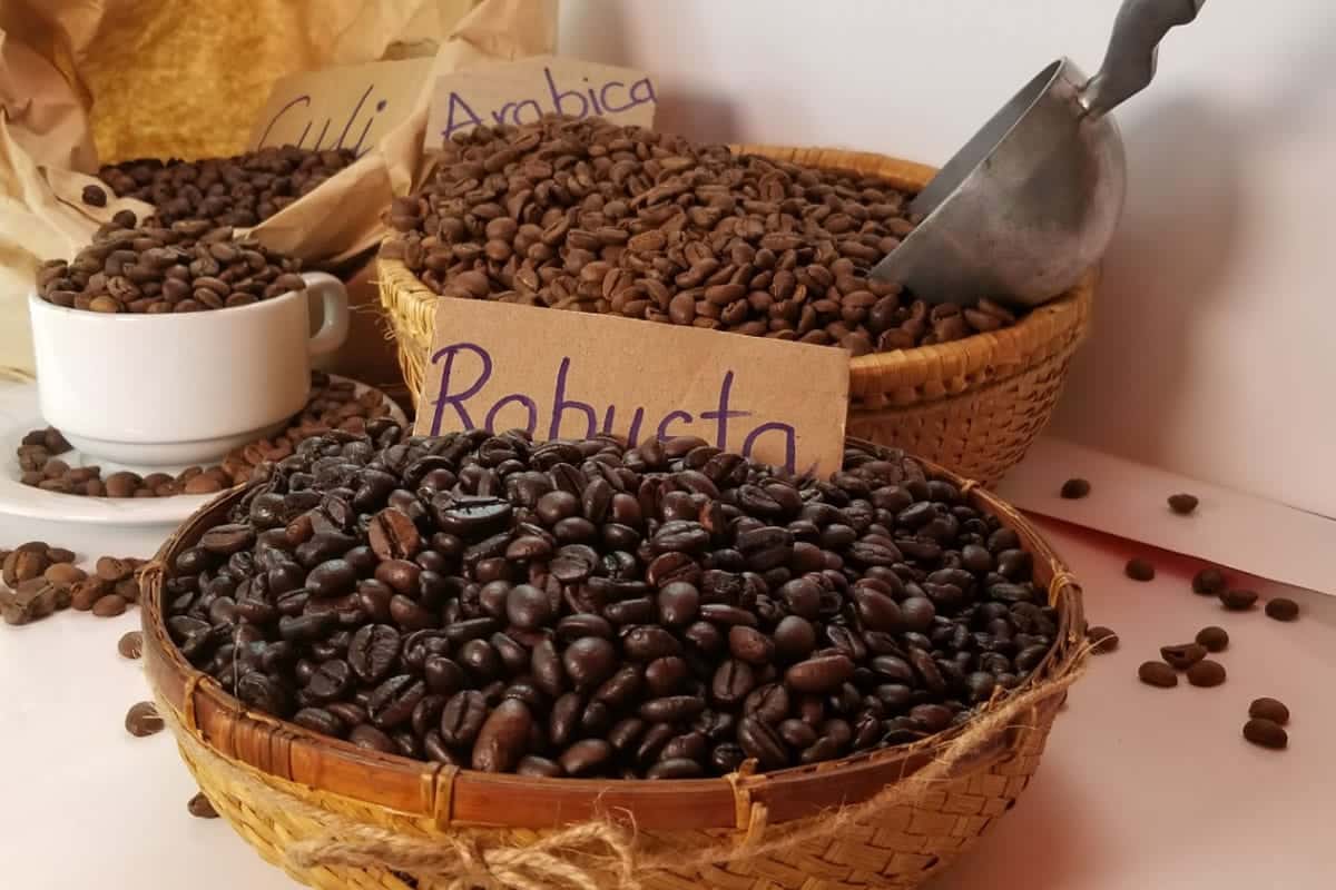 Какой кофе в зернах лучше — рейтинг стран производителей