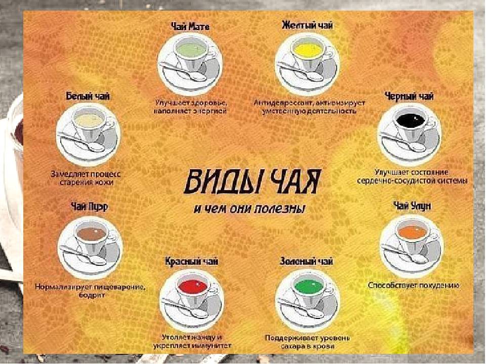 Какой бывает чай, основные виды чая. классификация, свойства