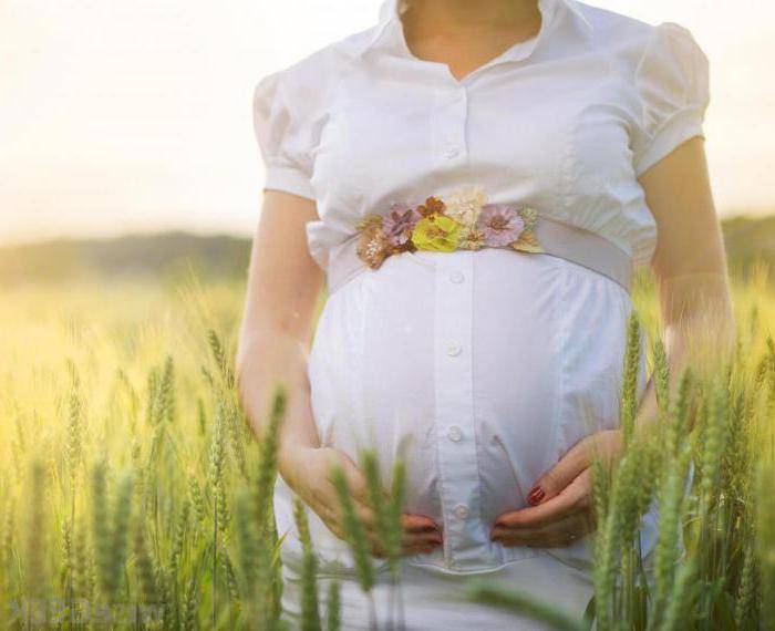 Ромашка при беременности: польза, способы применения, рецепты
