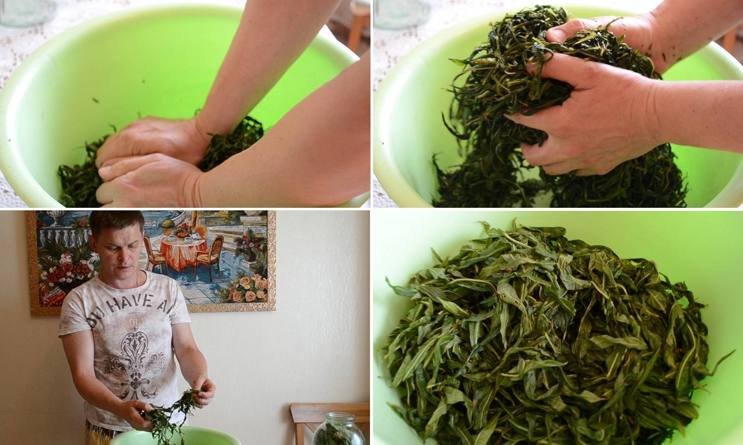 Копорский чай – польза и вред, приготовление в домашних условиях