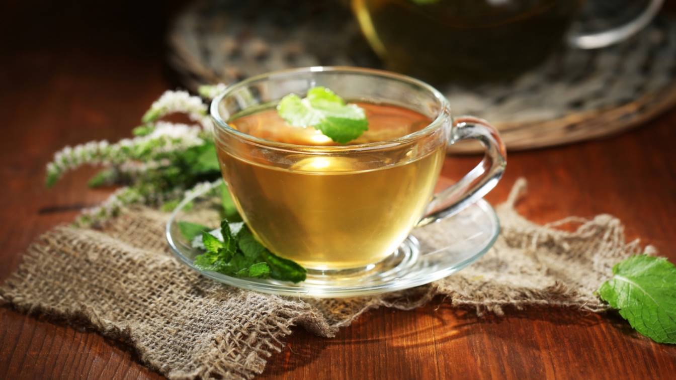 Таежный чай: состав сбора, польза и вред, рецепт заваривания