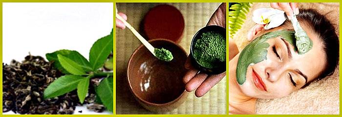 Зеленый чай. сорта, состав и полезные свойства. использование в косметологии и для похудения. употребление при беременности