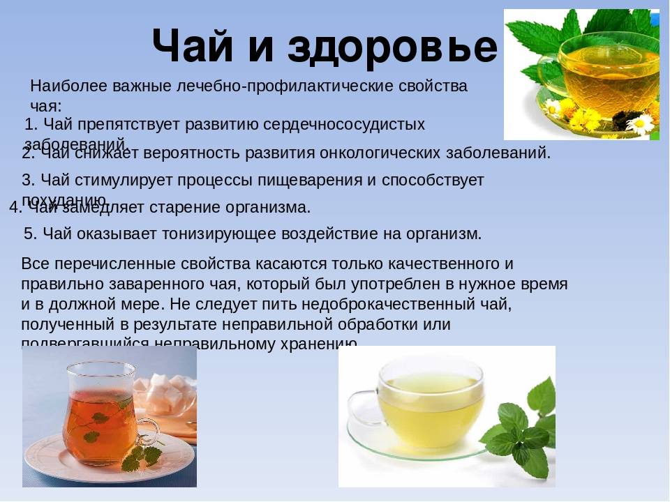 10 полезных свойств зеленого чая, доказанных наукой