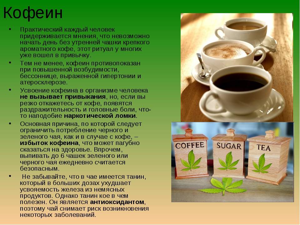 Какой кофе полезнее - молотый или растворимый: состав, содержание кофеина, вредные вещества