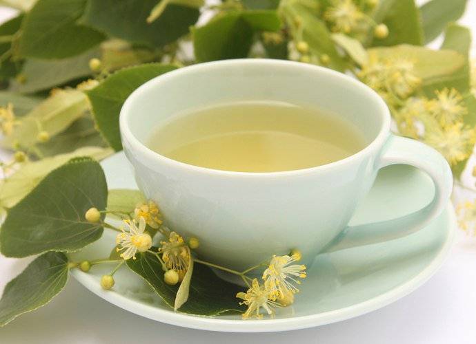 Липовый чай, полезные свойства, противопоказания, лечебные рецепты