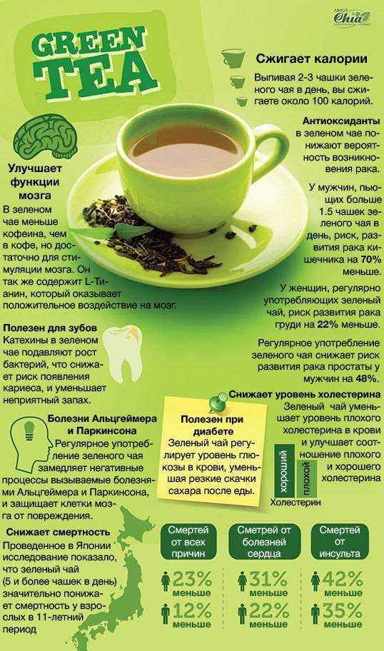 Зеленый чай - польза и вред для организма мужчины и женщины