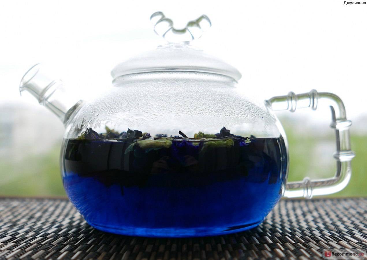 Анчан синий чай, полезные свойства, противопоказания