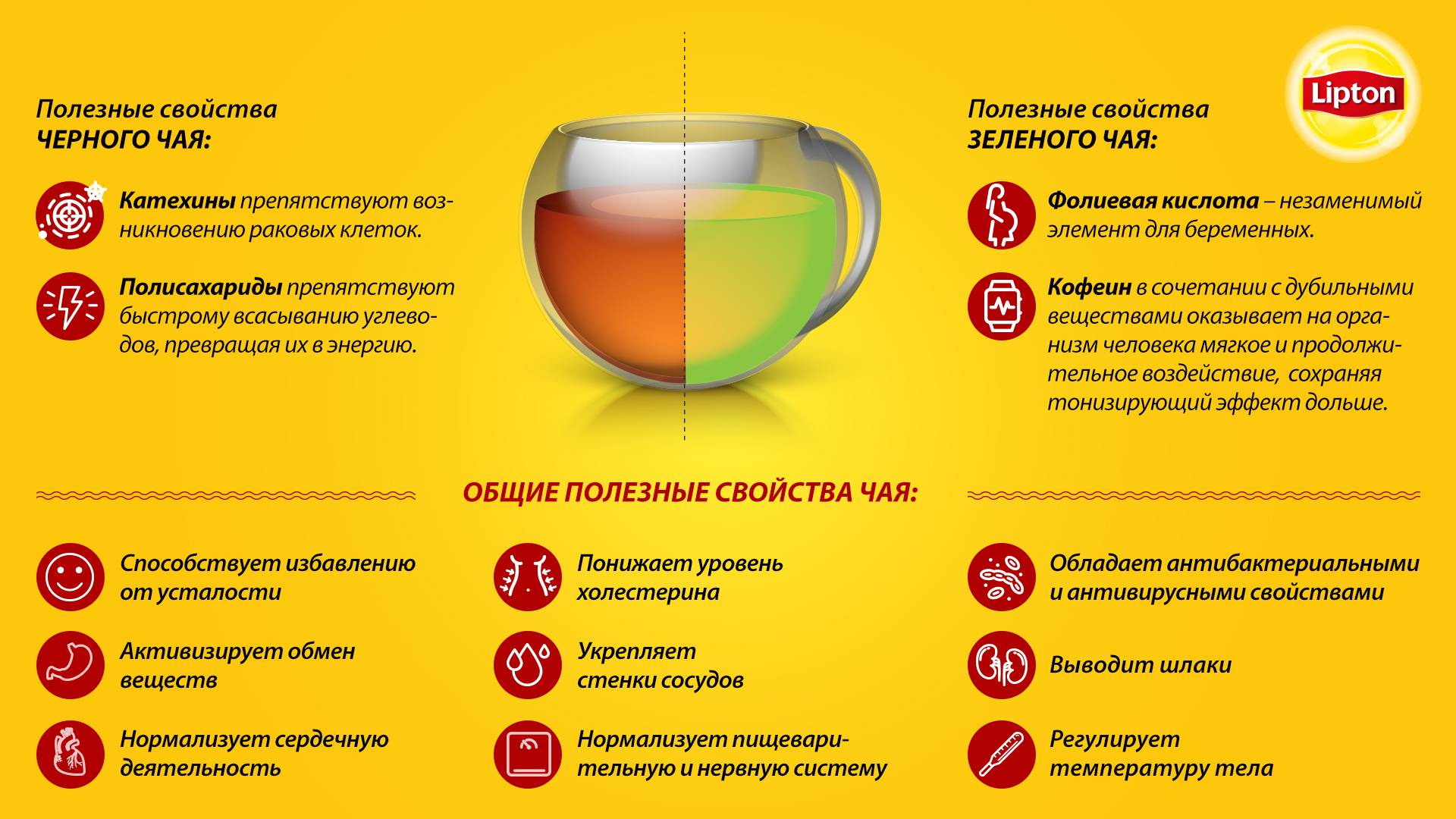 Польза вред противопоказания. Влияние чая на организм. Польза чая. Полезные свойства чая. Полезность чая.