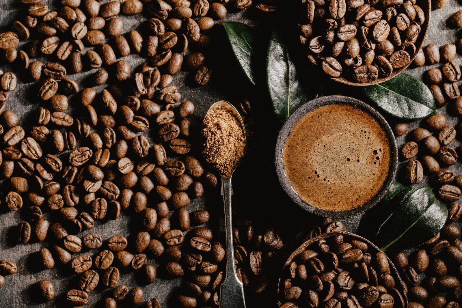 Самый дорогой кофе в мире из кала животных. необычные виды — копи лювак и черный бивень