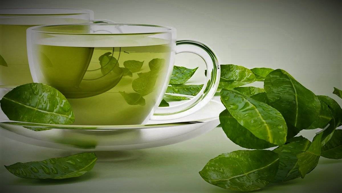 Зеленый чай польза и вред для похудения. свойства | народные знания от кравченко анатолия