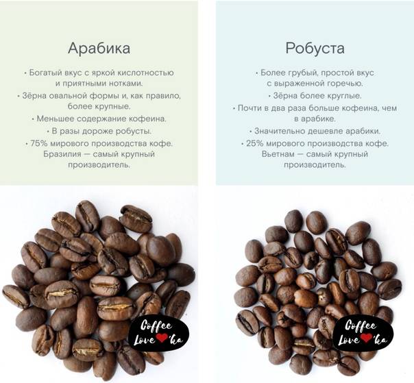 Главные особенности кофе робуста