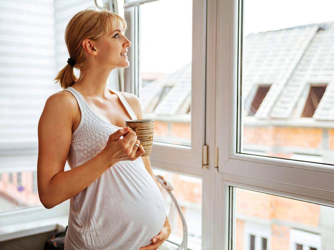 Мелисса при беременности: можно ли пить чай на ранних сроках с мятой